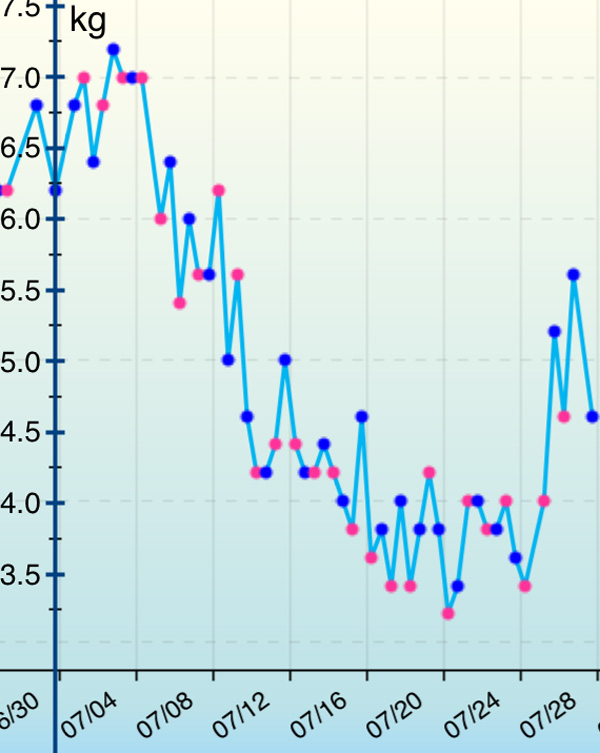 ぴろきちの体重レポート11/08