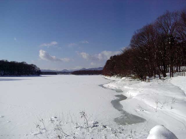 岩手県盛岡市